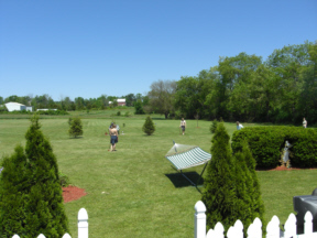 field