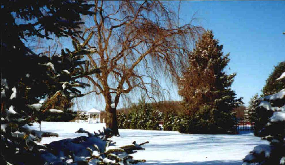 snow